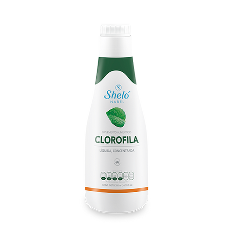 Clorofila