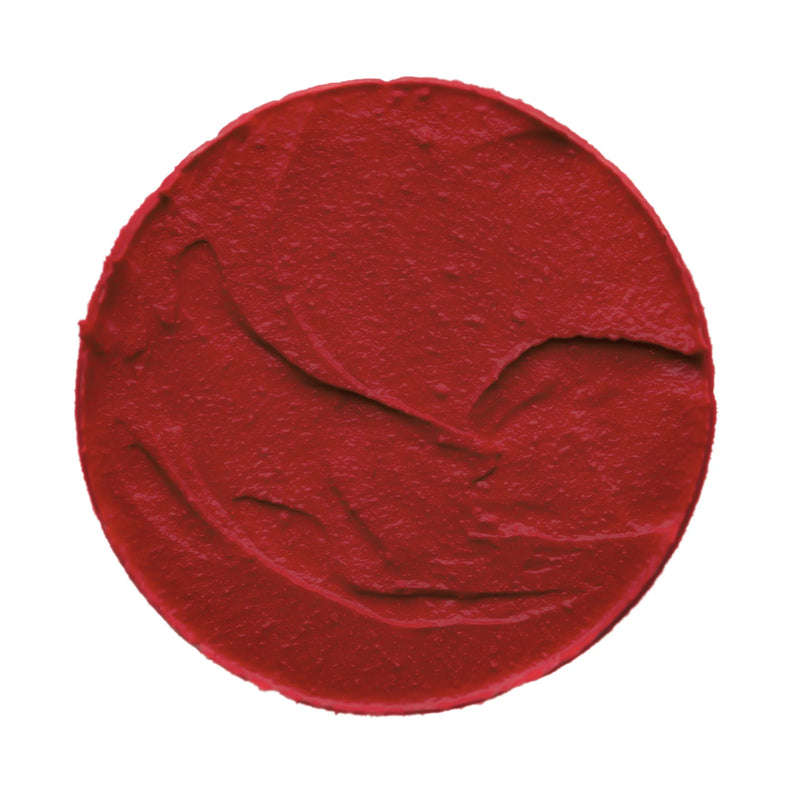 Matte Lipstick (Rojo Divertida)